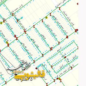 قالیشویی در جشنواره