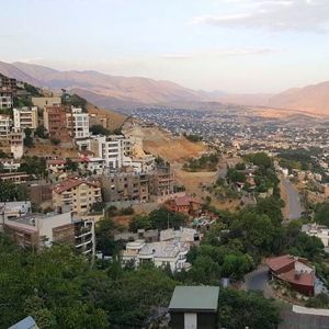 قالیشویی در حکیمیه 