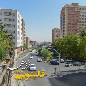قالیشویی در قیطریه