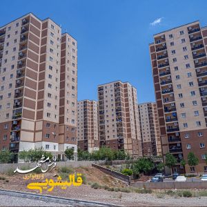 قالیشویی در پردیس