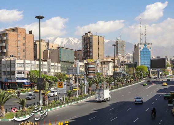 قالیشویی در ازگل 