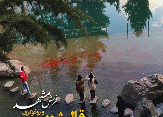 قالیشویی در جمشیدیه