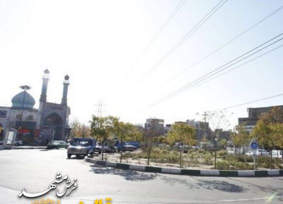 قالیشویی در خاک سفید