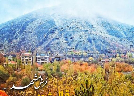 قالیشویی در رودک