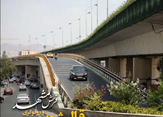 قالیشویی در سید خندان