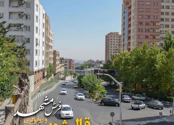 قالیشویی در قیطریه